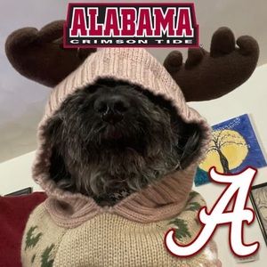 Meet your Posher, Valarie